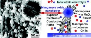 nanofleur
