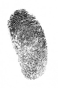 finger print on white background, good detail finger print on white background, good detail