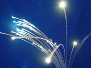 fibre1 fibre1